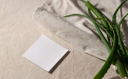 Aloe vera apparels for fit, and youthful life
